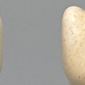 Vintage Nashville Tennessee Music City USA Salt and Pepper Shakers Souvenir Set